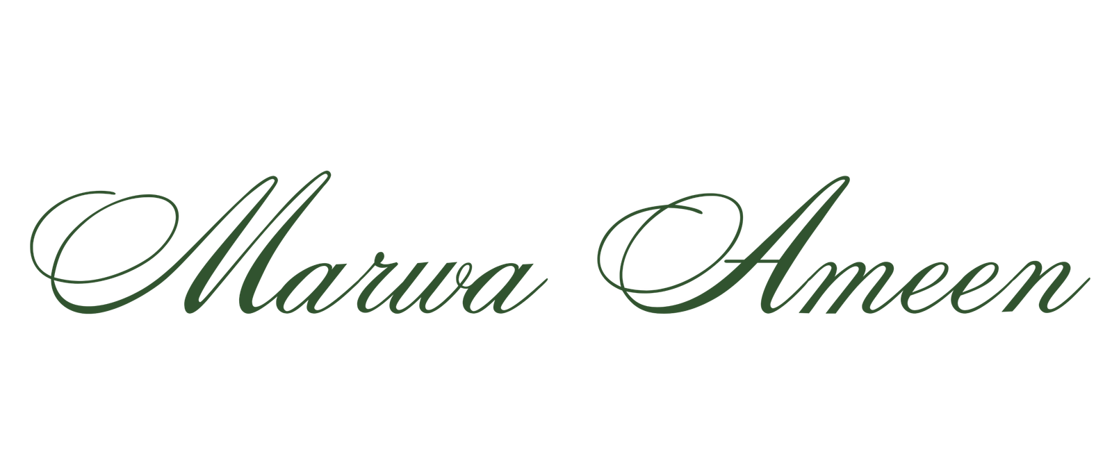 Marwa Ameen Art
